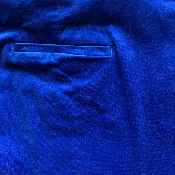 Beautiful rich blue velvet skinny pant - Picture 5 of 5